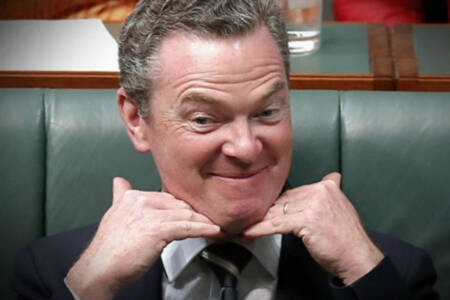 Chris Pyne’s a fixer