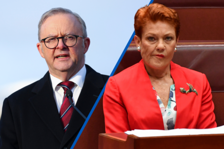 ‘Absolutely disgusted’: Pauline Hanson slams Albanese for Palestinian statehood call