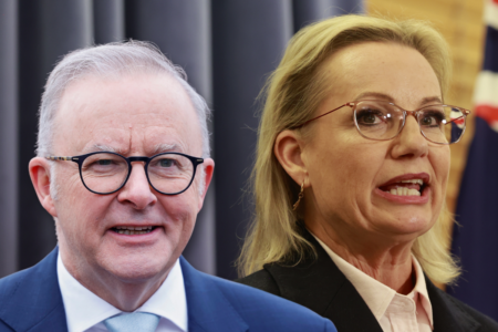 ‘From bad to worse’: Coalition’s primary vote crashes to historic low