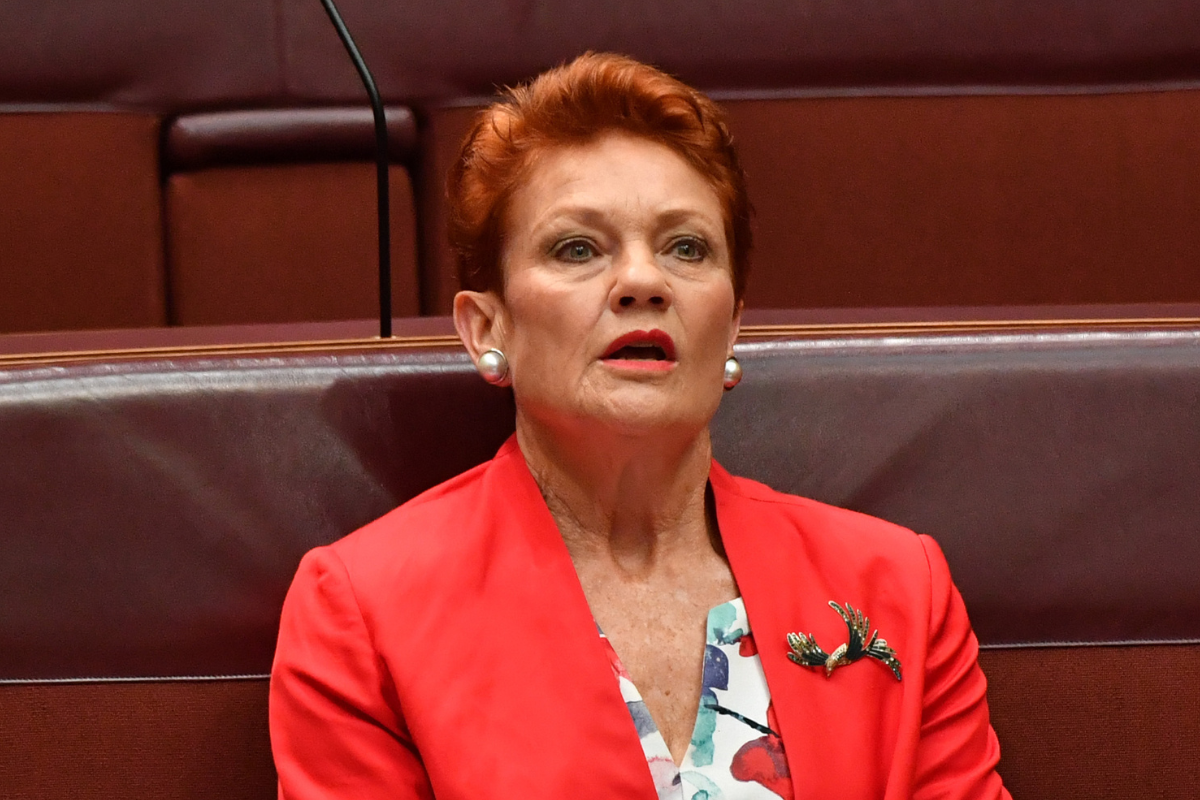 Pauline Hanson's bold claim about the future of her party - 4BC
