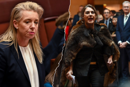Pressure mounting on Lidia Thorpe over her ‘burn down parliament’ remark