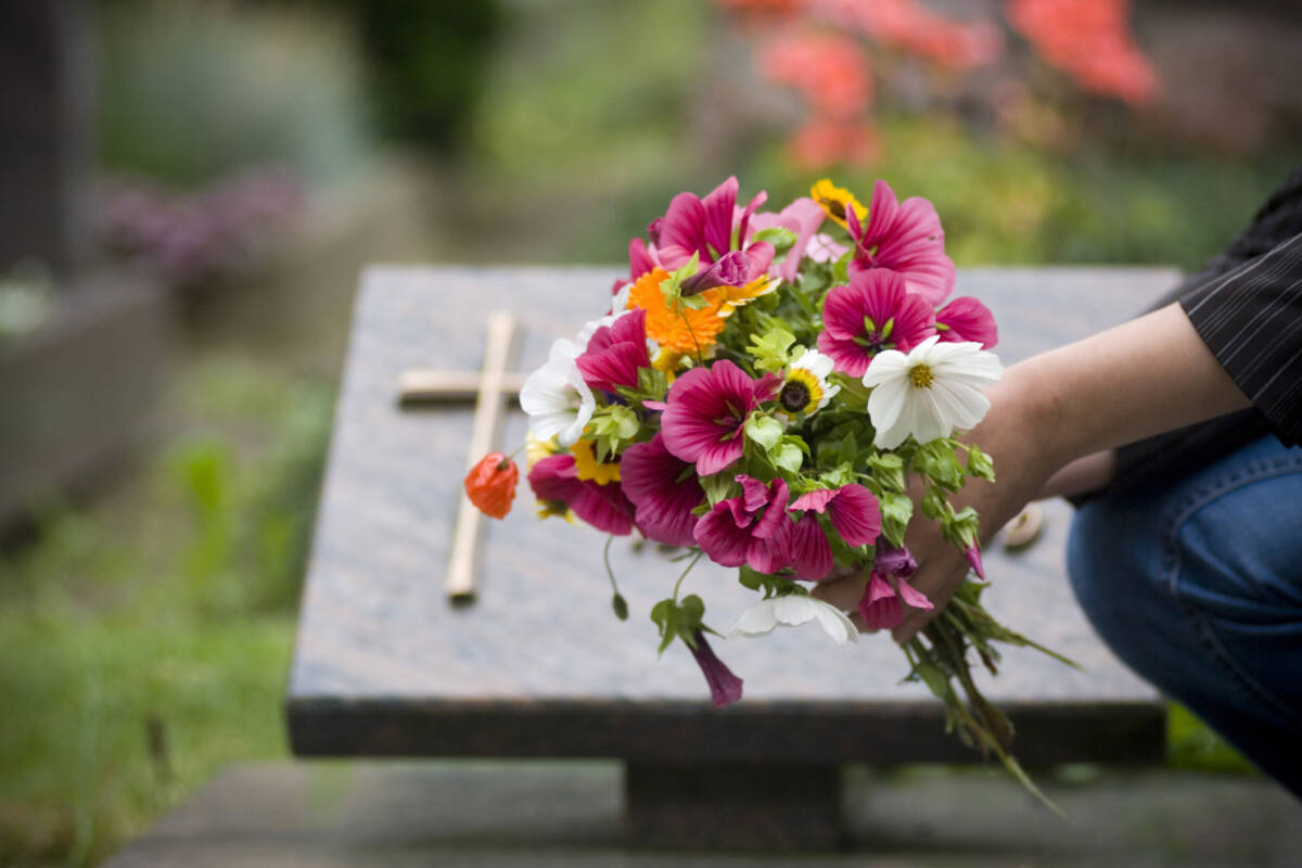 Article image for Jason Matthews calls for action as QLD faces looming cemetery space shortage