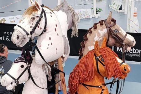 Why the Hobby Horse Championships are must-see in Moreton Bay