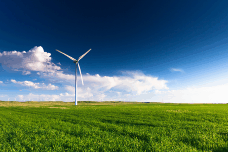 Why Chris Bowen’s energy policy is driving Tomago Smelter ‘to shut down’