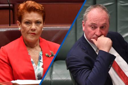 Pauline Hanson says Barnaby Joyce is welcome at One Nation