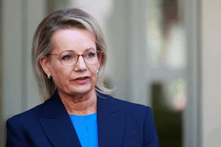 Why Sussan Ley believes Net Zero is killing the Australian dream of home ownership