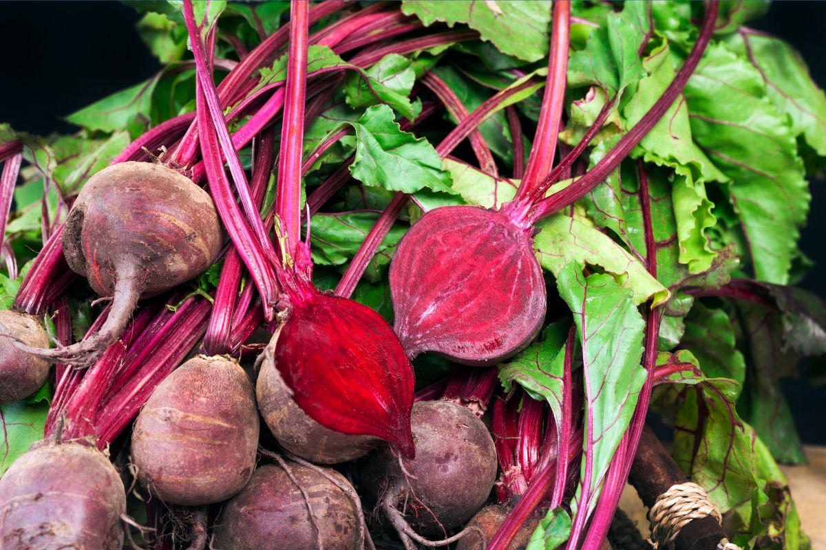 What is happening to Australian beetroot?