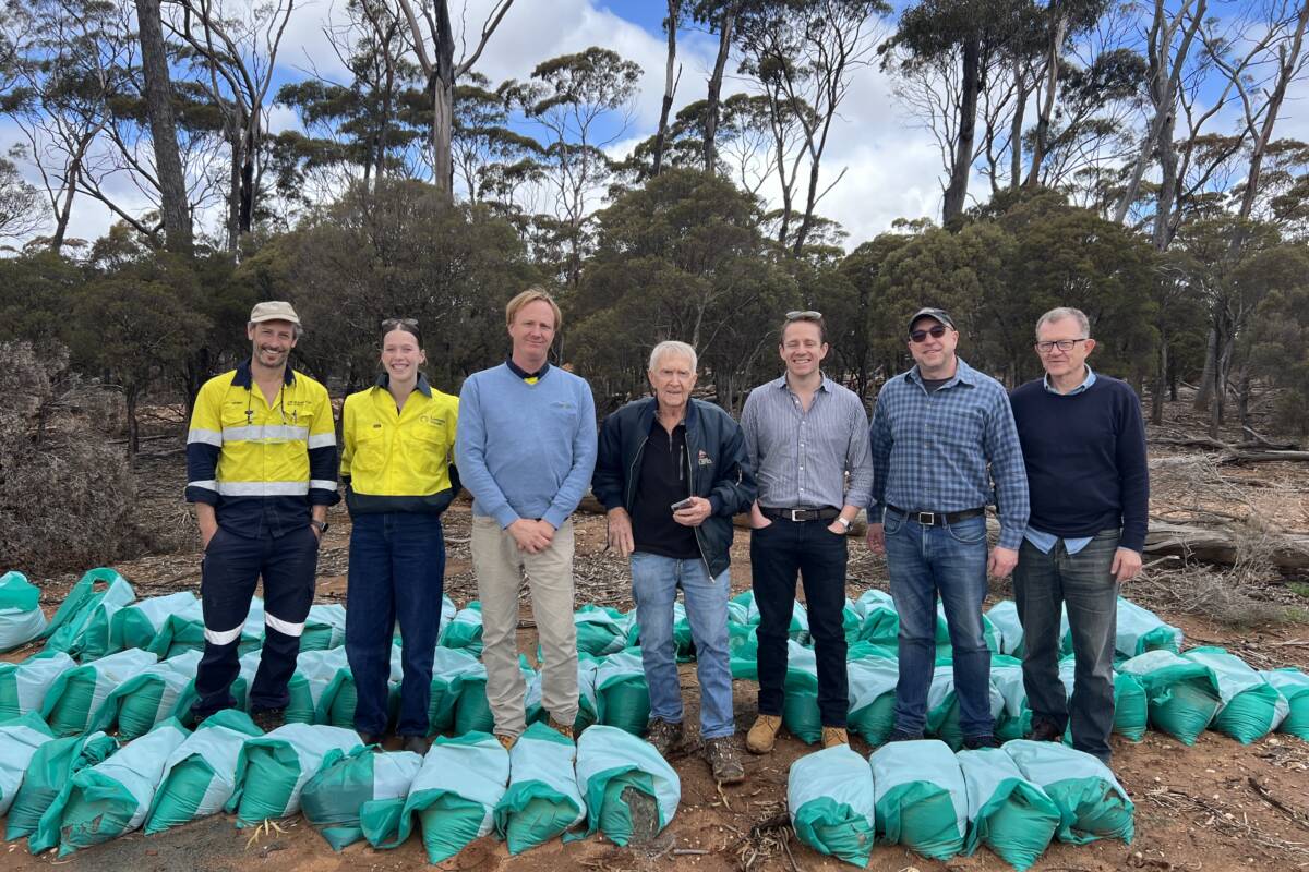 Article image for Zenith Minerals : This gold system is massive – where will it finish?