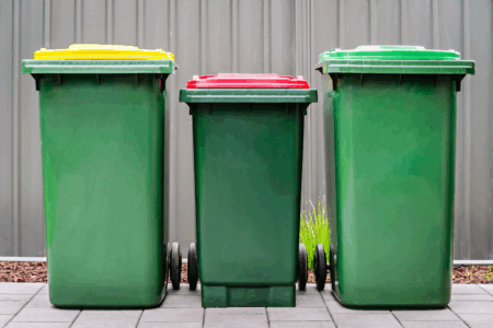 Rubbish excuses: Brisbane’s growing bin crisis and the 14-week wait