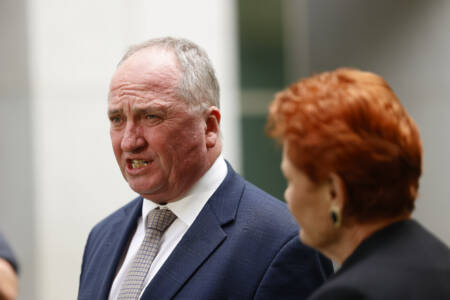 ‘We are in real strife’: Barnaby Joyce calls for fuel rationing in Australia