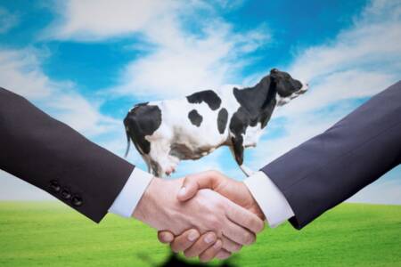 Cattle Australia is ‘apalled’ by European Union Free Trade Agreement signed today