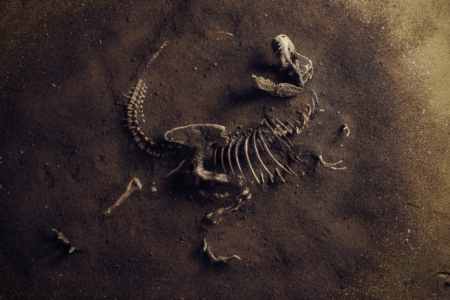 Dinosaur Tourism: Why Queensland families are being urged to dig into their own backyard