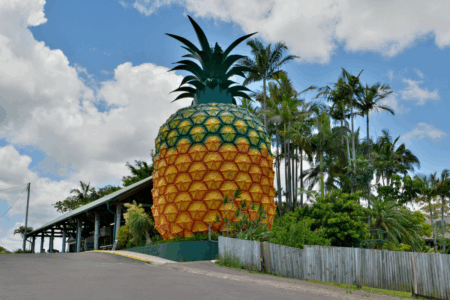 Why Queensland’s iconic Big Pineapple is getting a massive $10 million facelift