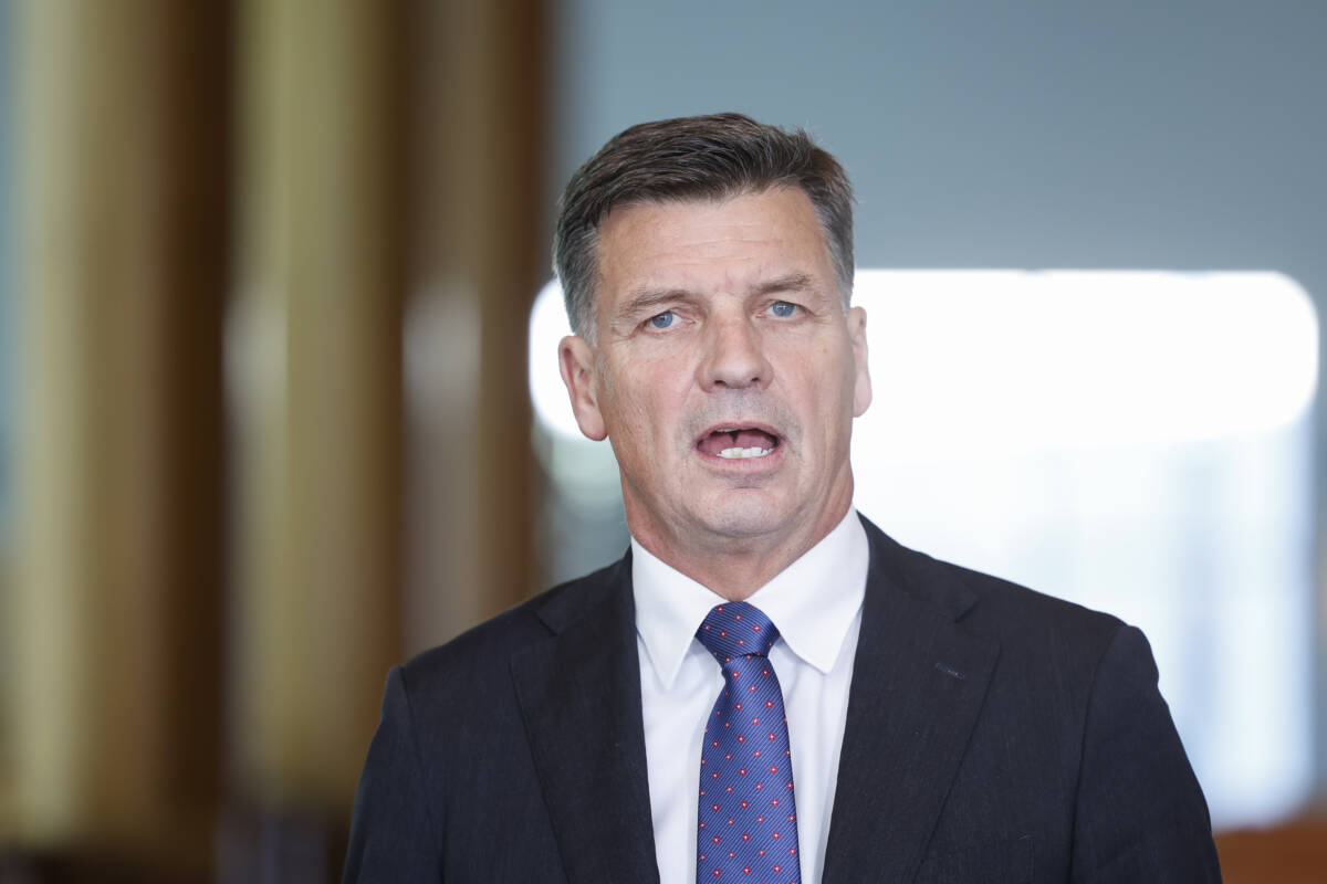 Article image for ‘They’re totally unaware’ – Michael’s pertinent advice for the dying Liberal Party
