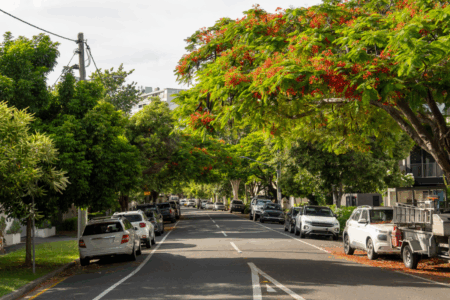 COMMUNITY IN CRISIS: Why Queensland local councils are failing on your streets