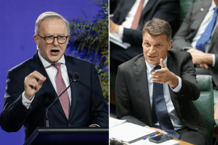 How Albanese and Coalition cut Senate deal on gambling ads