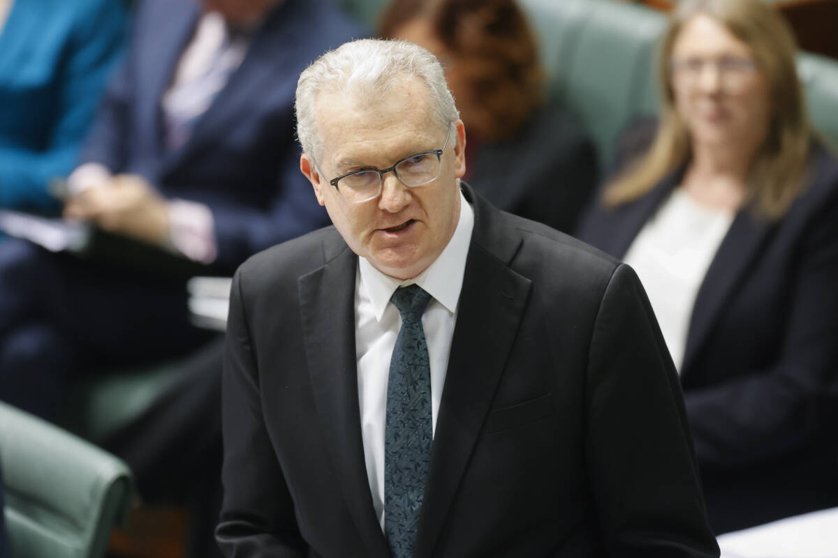 Article image for ‘They’re embarrassed’ – Why Labor pivoted to gender and ignored immigration