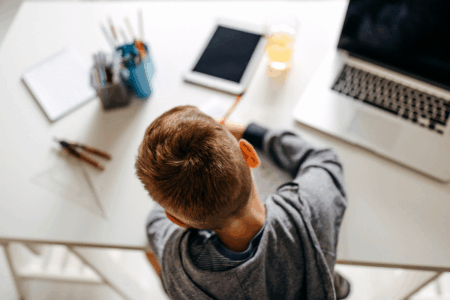 Classroom crisis: Why record numbers of families are fleeing mainstream schools for homeschooling